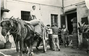 Cooperativa, La Storia Dell'unione Che Fece La Forza - Ioprimadime